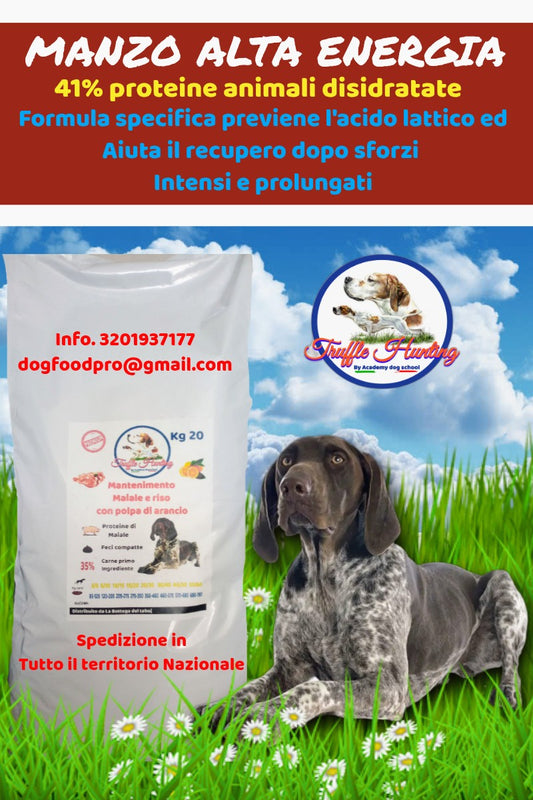 Alimento completo per cani