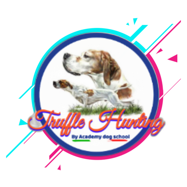 Academy dog food
